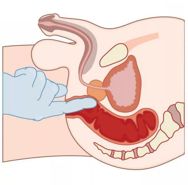 Розташування точки G у чоловіків